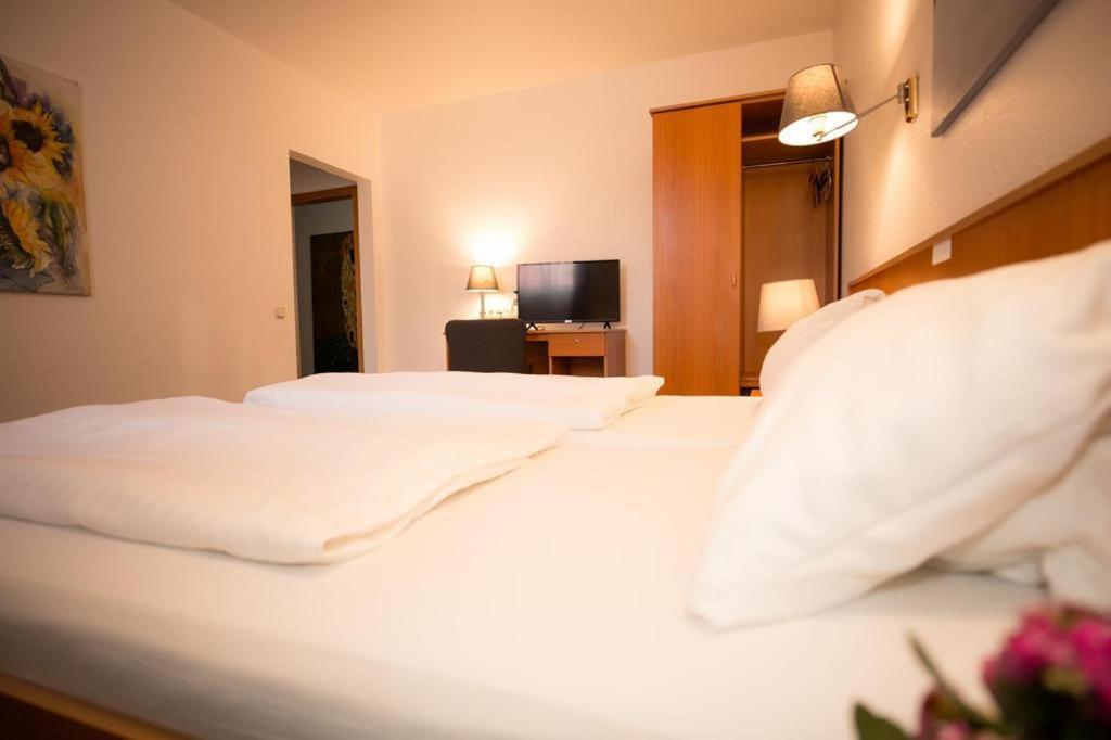 Hotel Weisse Muehle Breitenworbis Exteriér fotografie