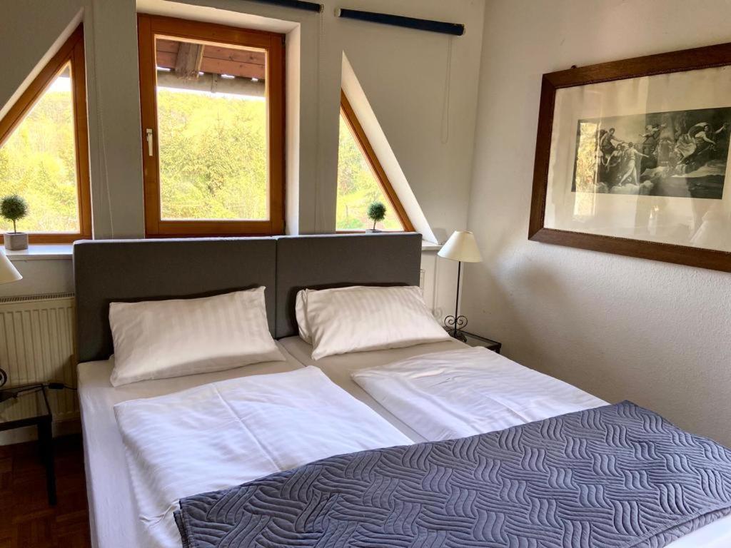 Hotel Weisse Muehle Breitenworbis Exteriér fotografie